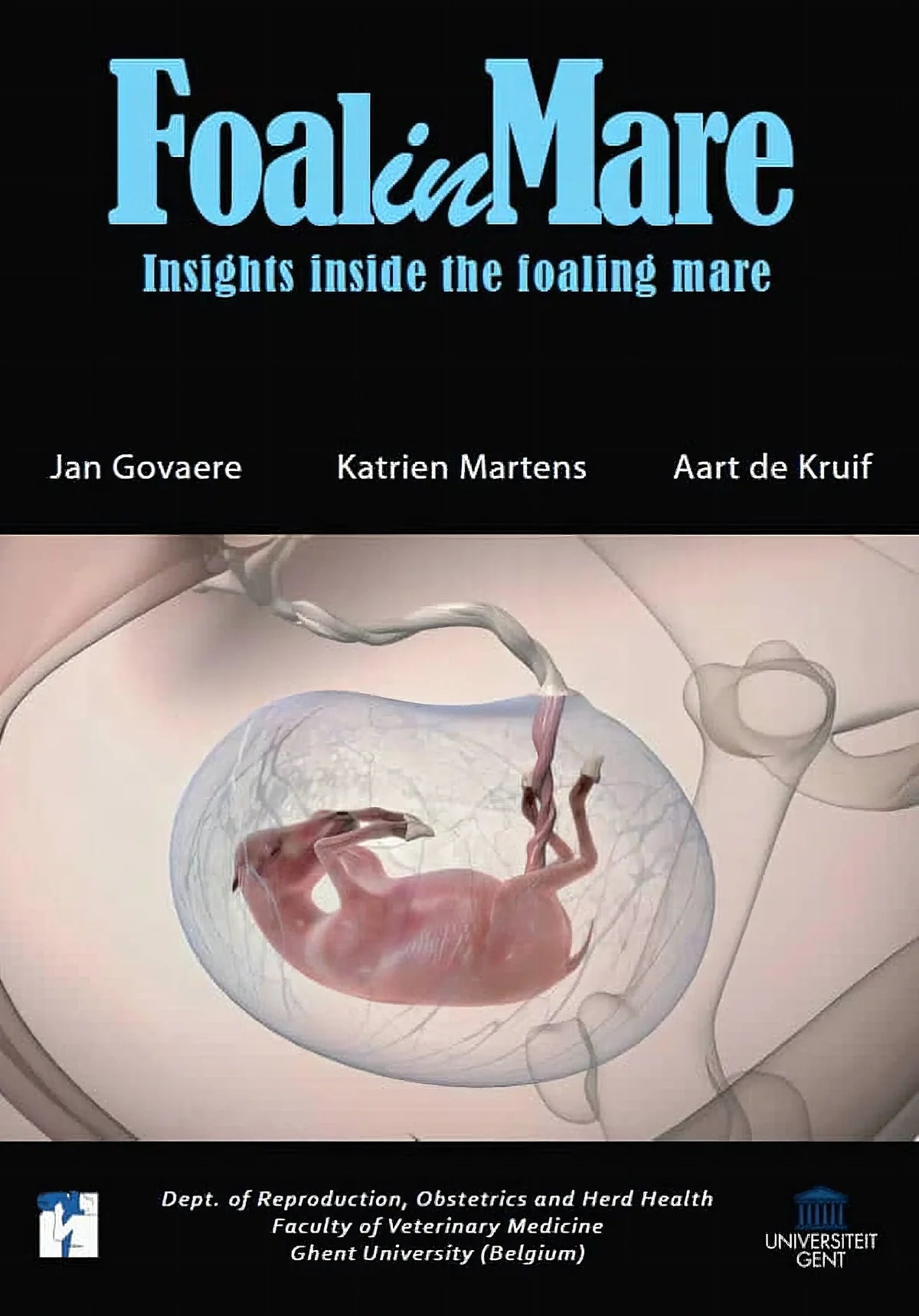 FoalinMare: Insights Inside the Foaling Mare