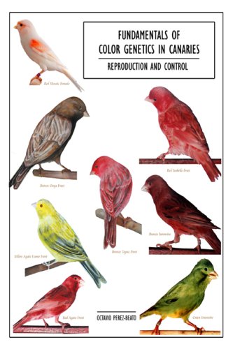 Fundamentals of Color Genetics in Canaries: Reproduction and Control