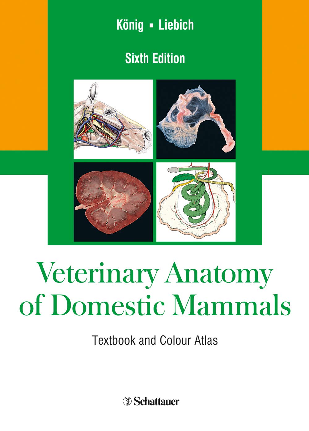 Veterinary Anatomy of Domestic Mammals: Textbook and Colour Atlas, 6th Edition