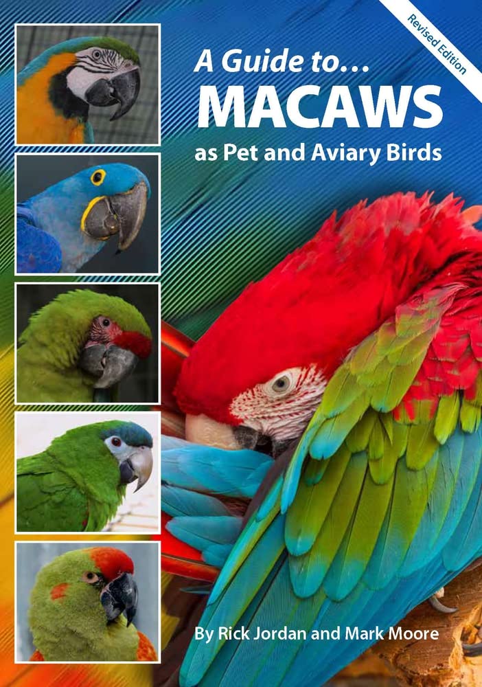 A Guide to Macaws As Pet and Aviary Birds