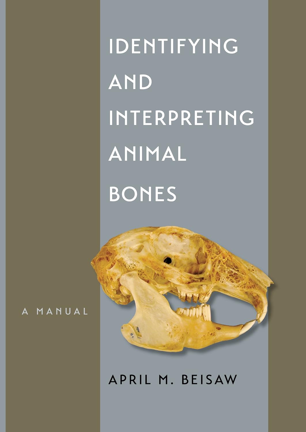 Identifying and Interpreting Animal Bones A Manual