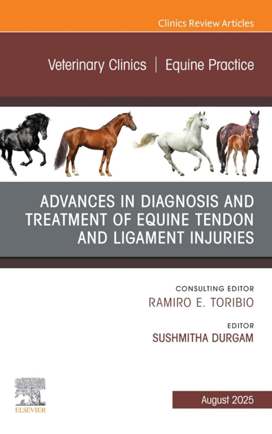 Advances in the Diagnosis and Treatment of Equine Tendon and Ligament Injuries, An Issue of Veterinary Clinics of North America_Equine Practice