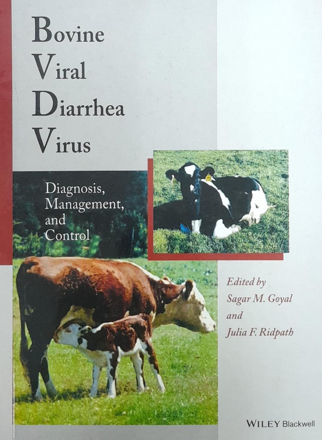 Bovine Viral Diarrhea Virus: Diagnosis, Management, and Control