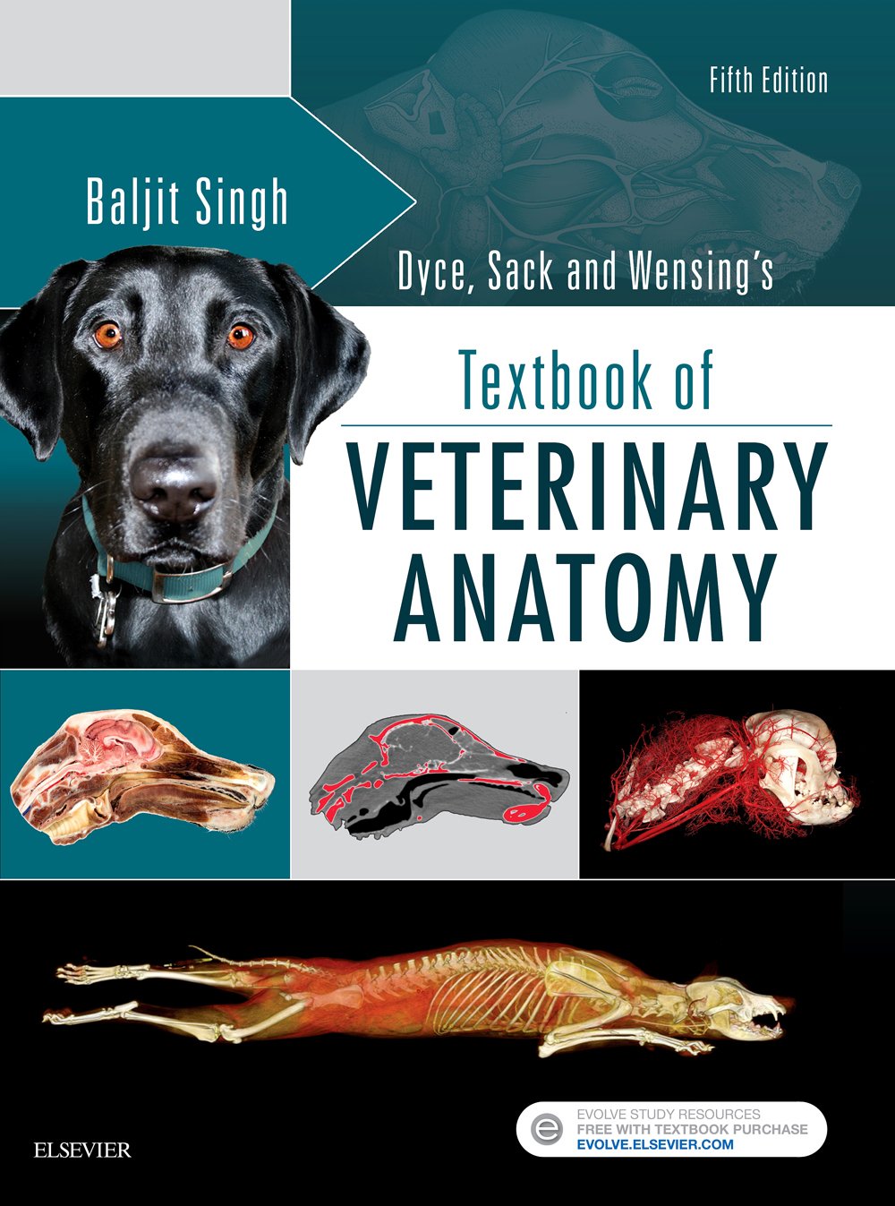 Dyce, Sack and Wensing’s Textbook of Veterinary Anatomy, 5th Edition