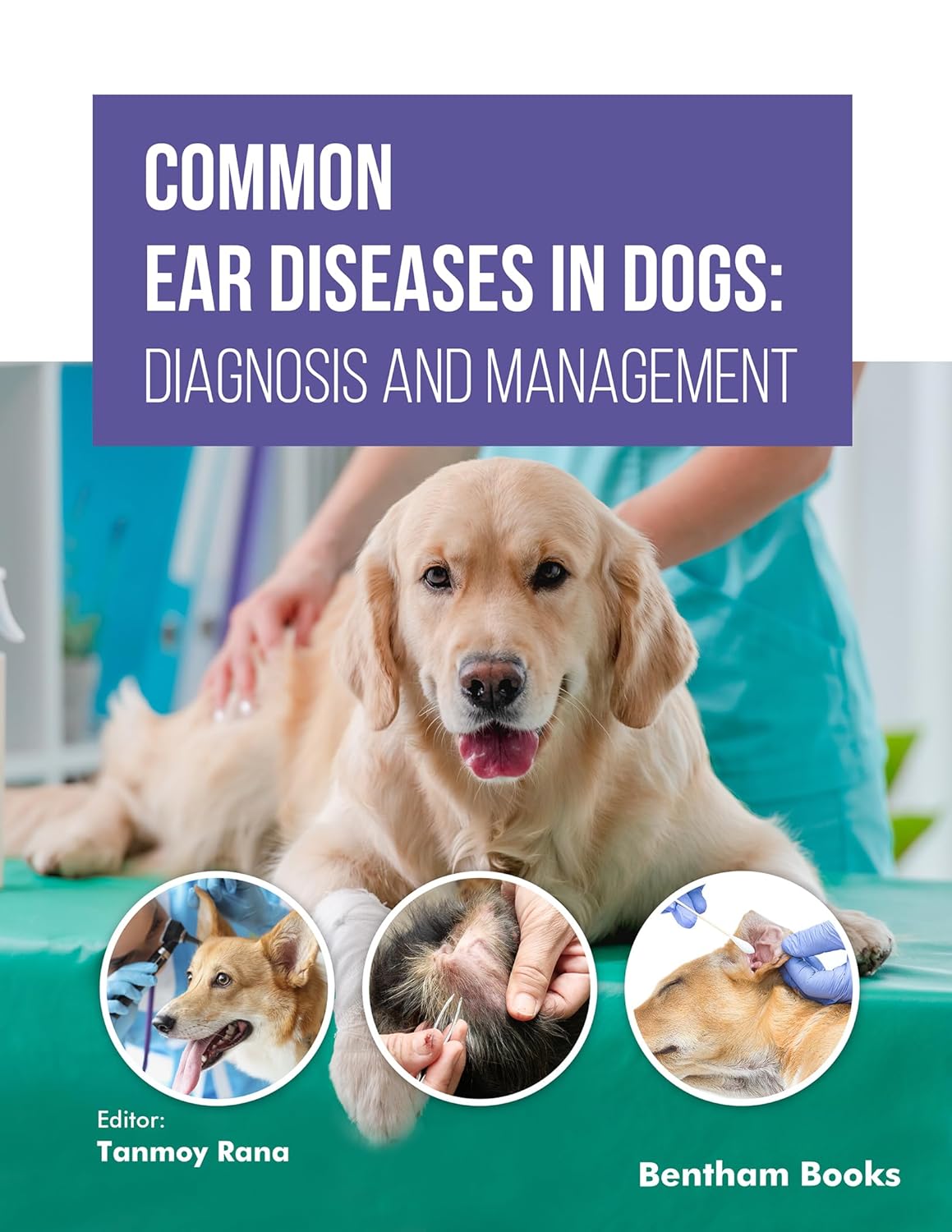 Common Ear Diseases in Dogs: Diagnosis and Management