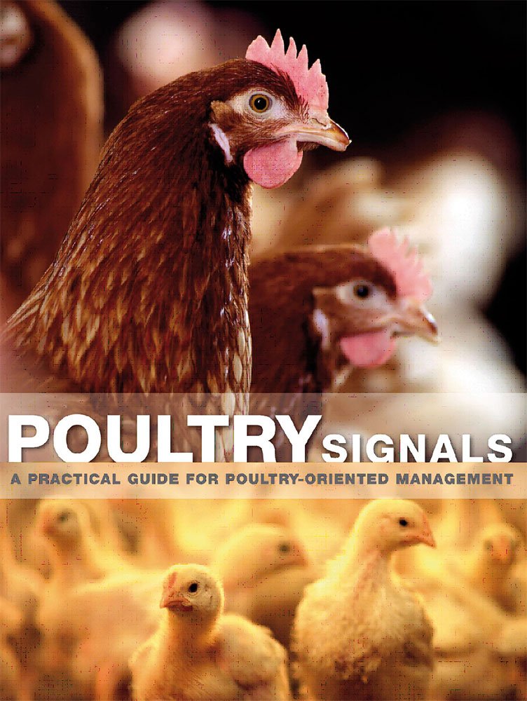 Poultry Signals: A Practical Guide for Bird Focused Poultry Farming