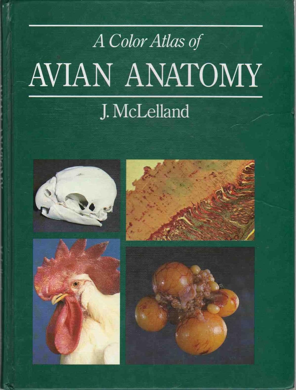 Color Atlas of Avian Anatomy