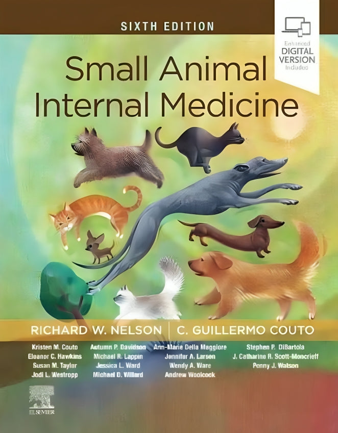 Small Animal Internal Medicine 6th Edition
