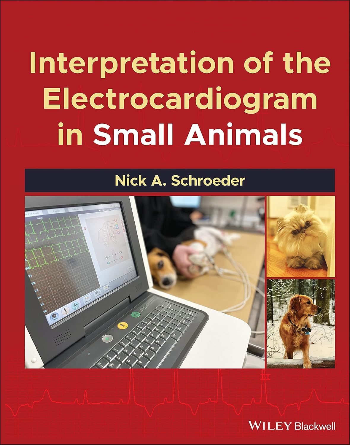Interpretation of the Electrocardiogram in Small Animals 1st Edition