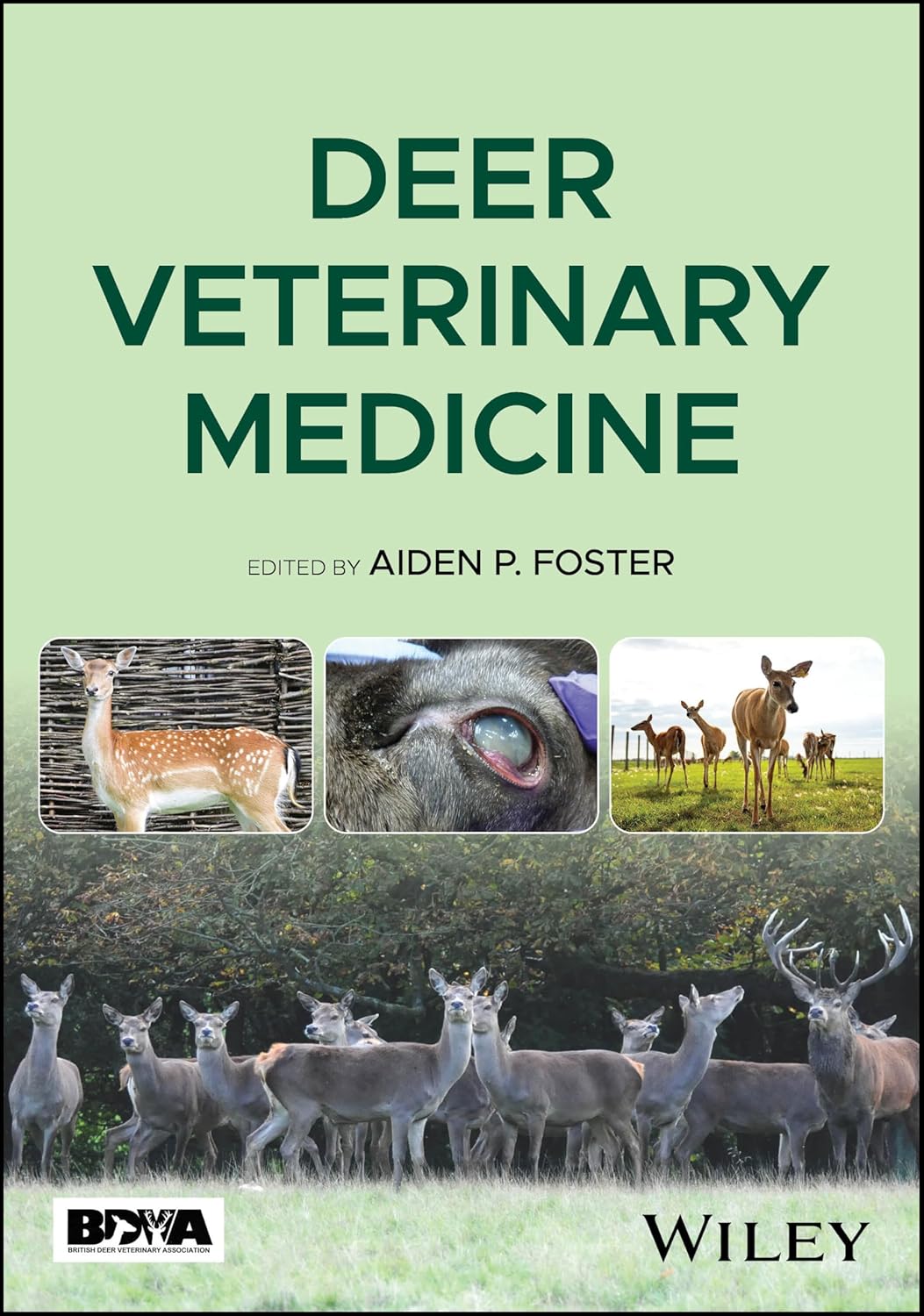 Deer Veterinary Medicine 1st Edition - July 28, 2025