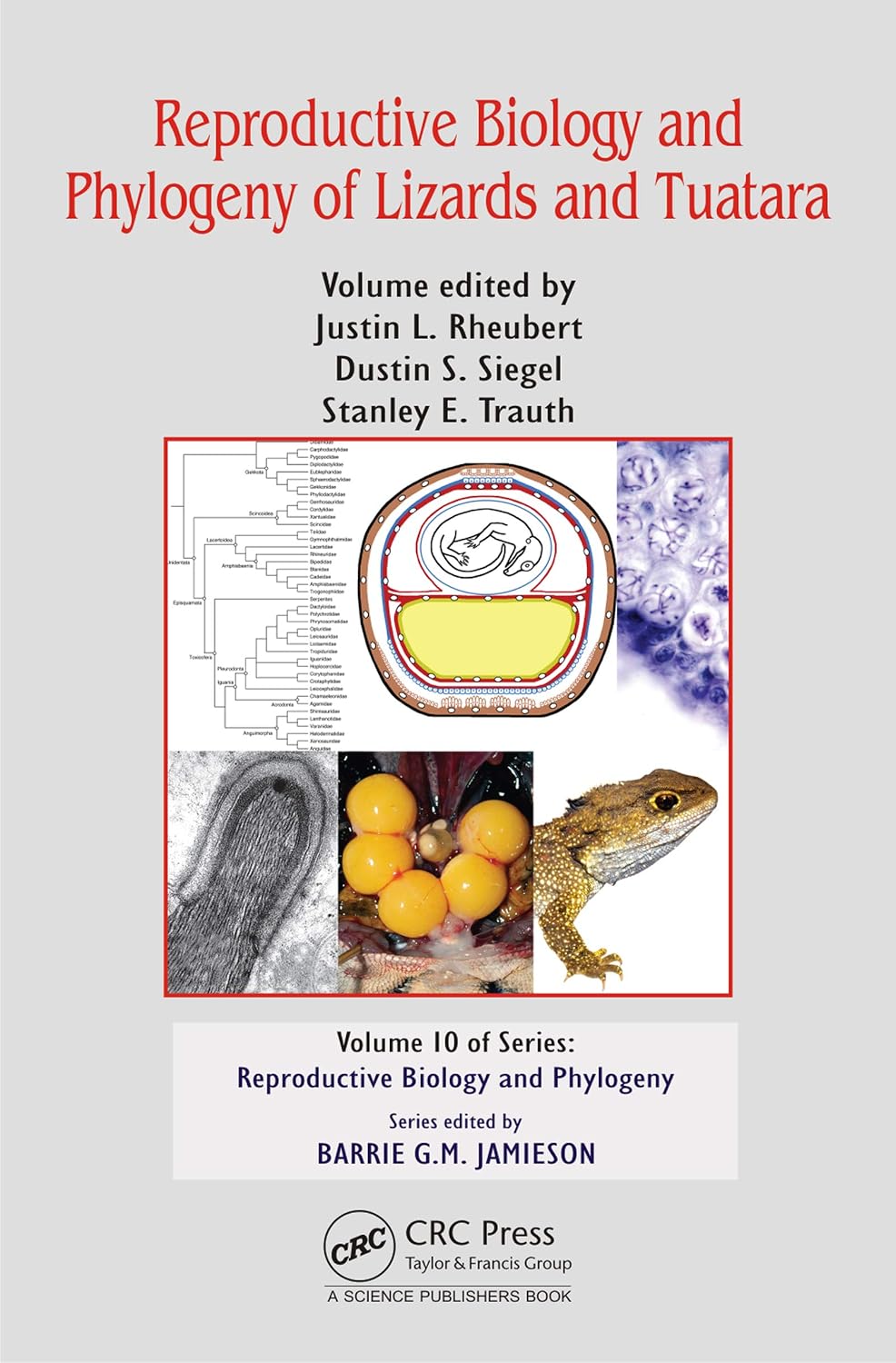 Reproductive Biology ad Phylogeny of Lizards and Tuatara