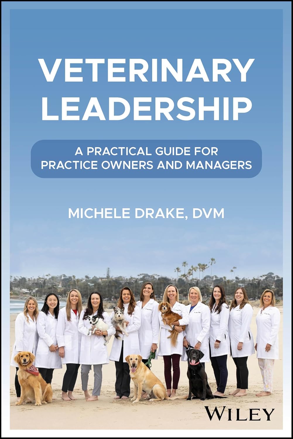 Veterinary Leadership: A Practical Guide for Practice Owners and Managers 1st Edition