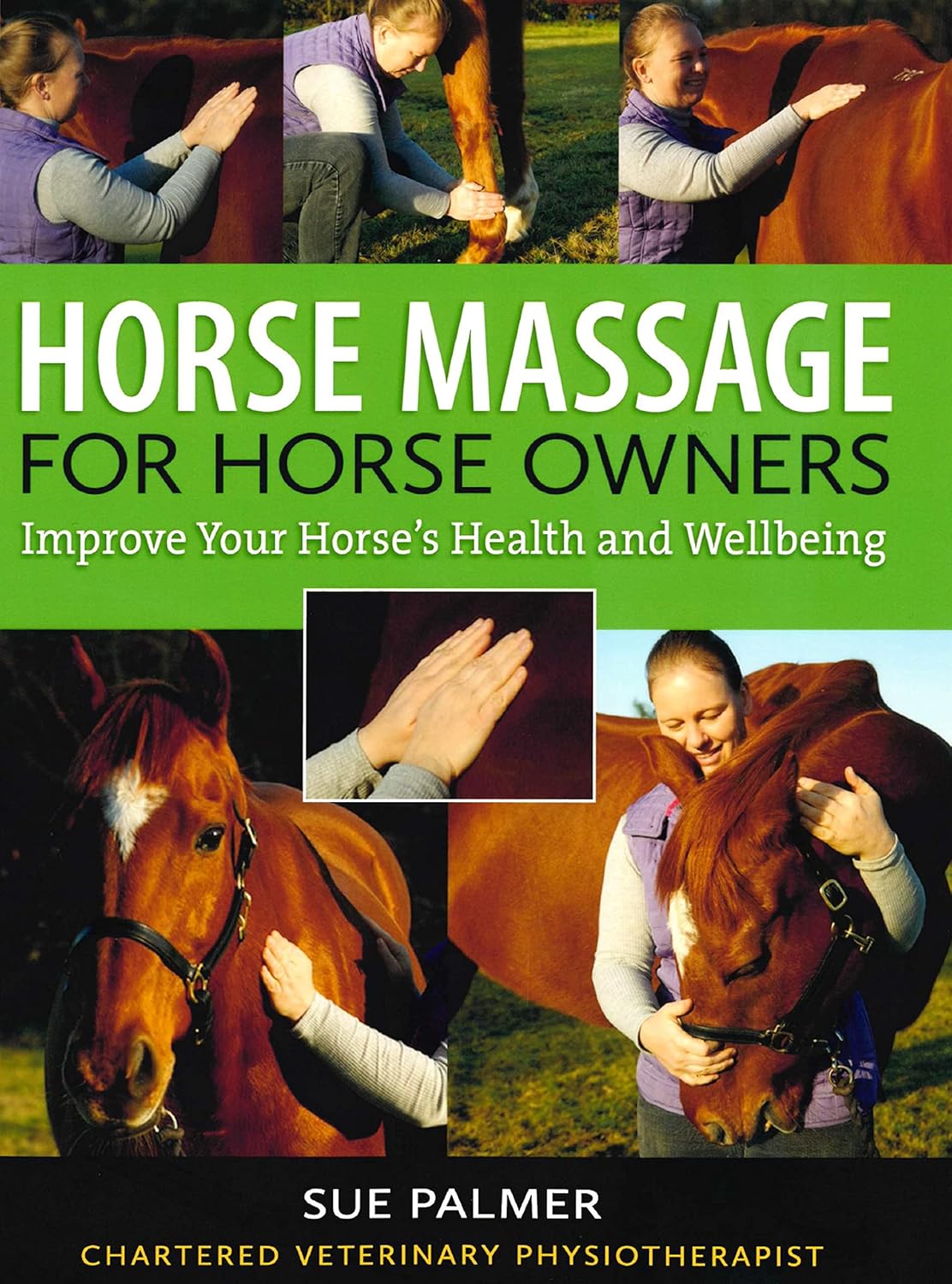 Horse Massage for Horse Owners Improve Your Horse's Health and Wellbeing