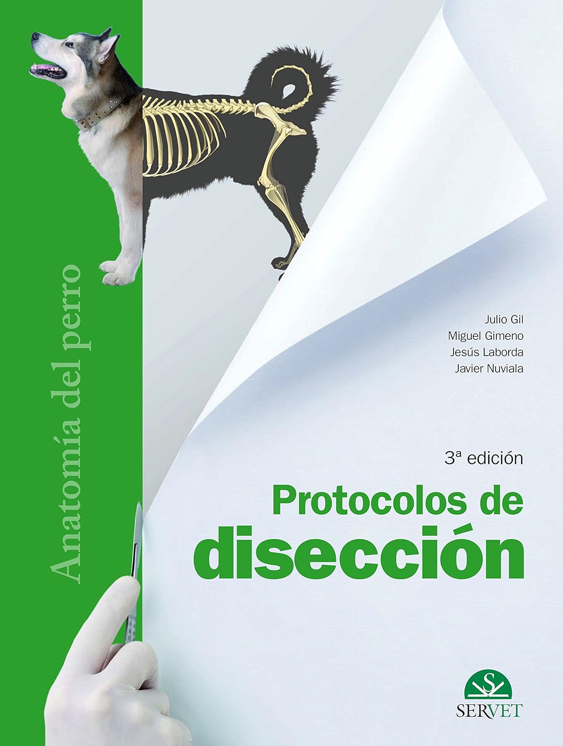 Protocolos de disección. Anatomía del perro: ANATOMÍA DEL PERRO