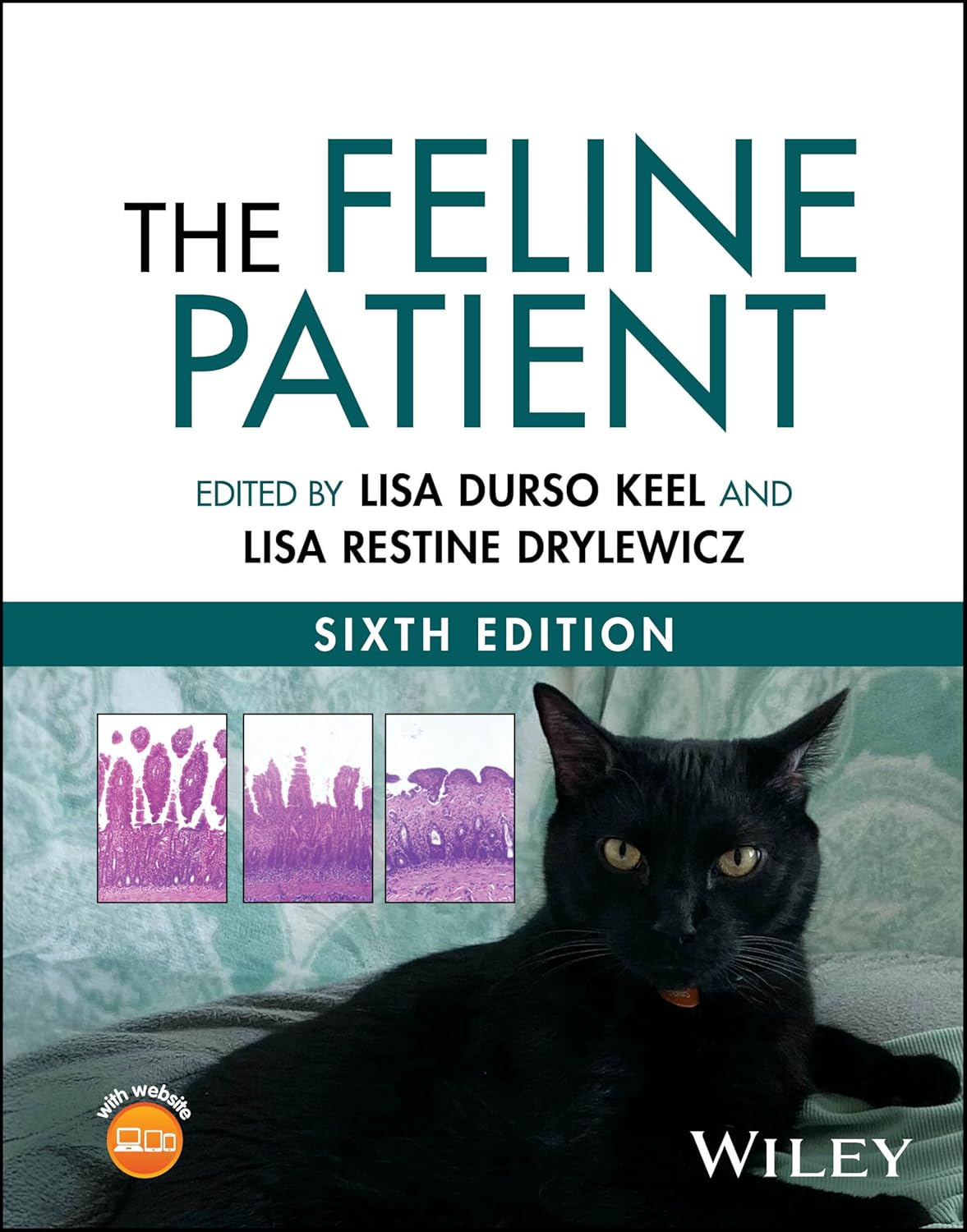 The Feline Patient 6th Edition Volumes 1, 2 & 3