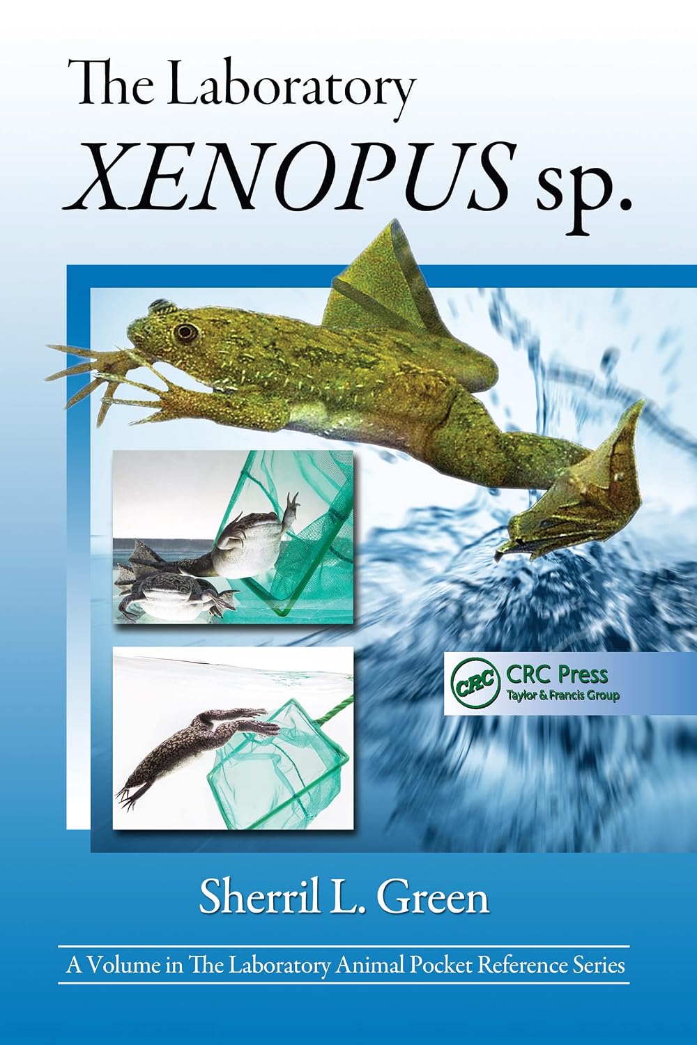 The Laboratory Xenopus sp 1st Edition