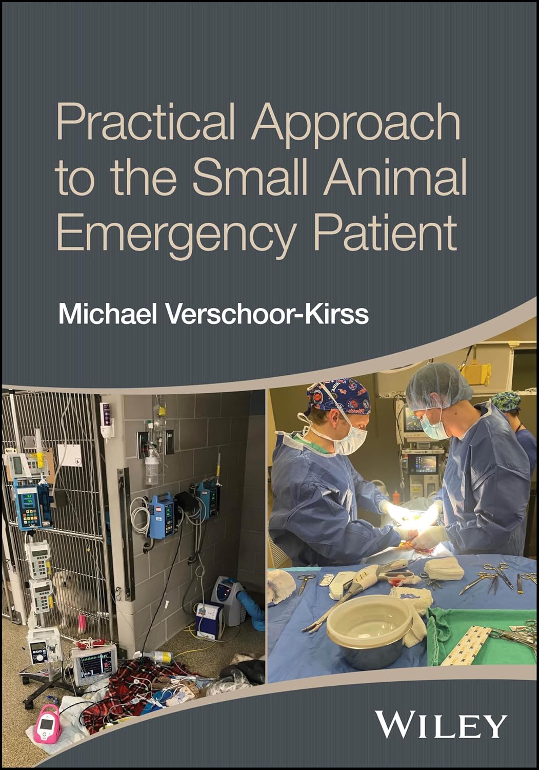 Practical Approach to the Small Animal Emergency Patient 1st Edition