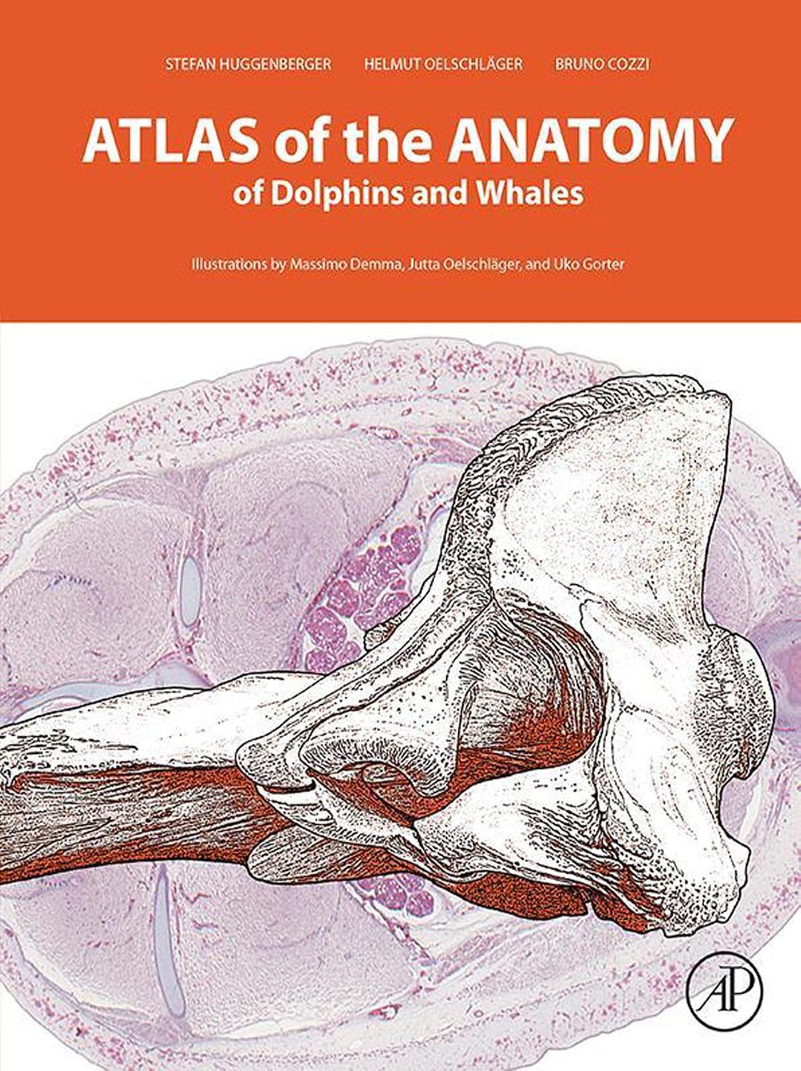 Atlas of the Anatomy of Dolphins and Whales