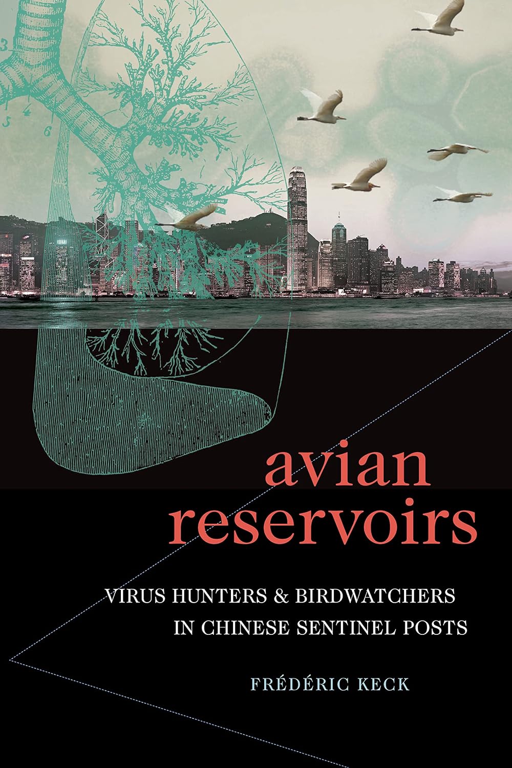 Avian Reservoirs: Virus Hunters and Birdwatchers in Chinese Sentinel Posts