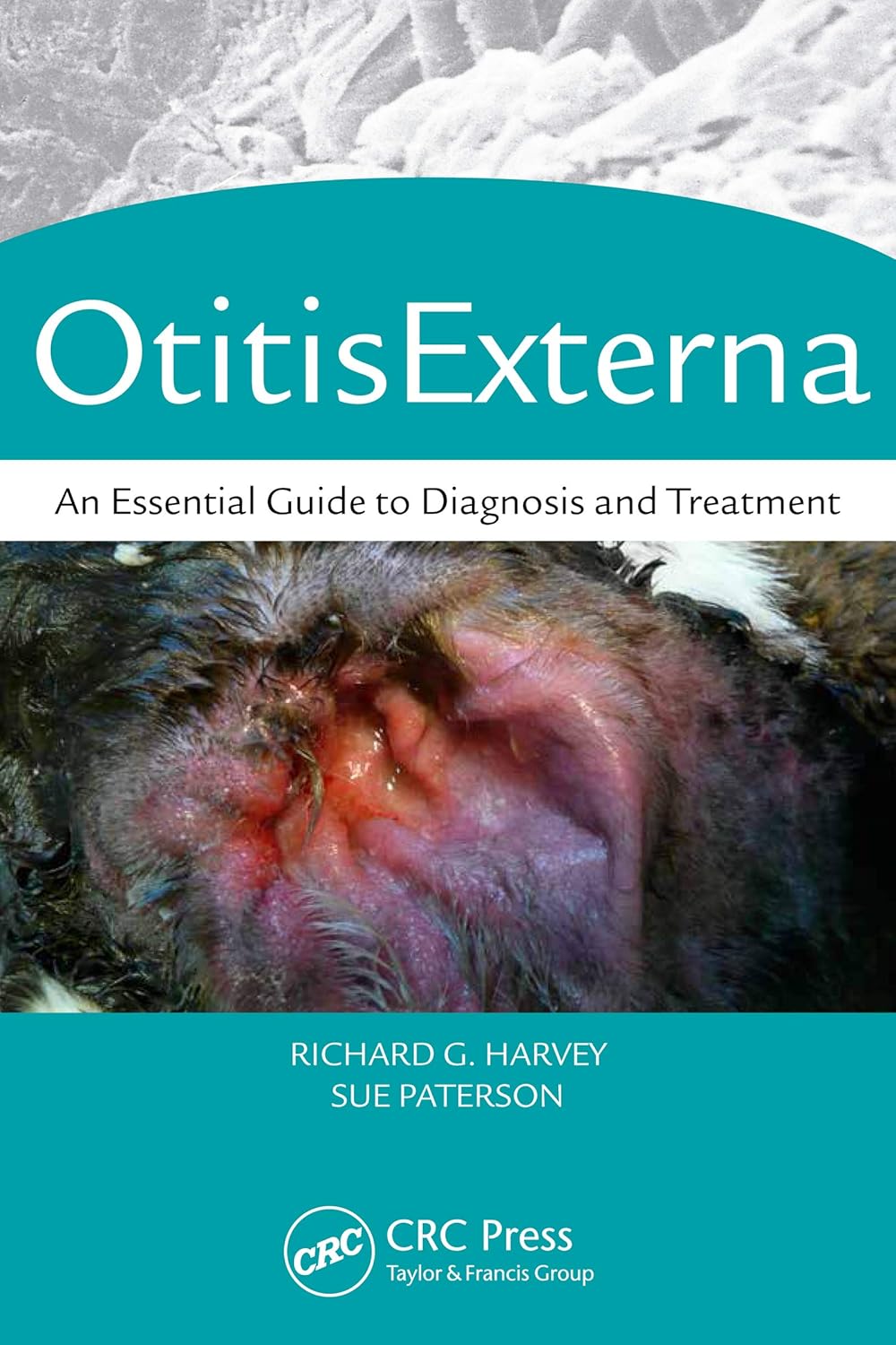 Otitis Externa: An Essential Guide to Diagnosis and Treatment 1st Edition