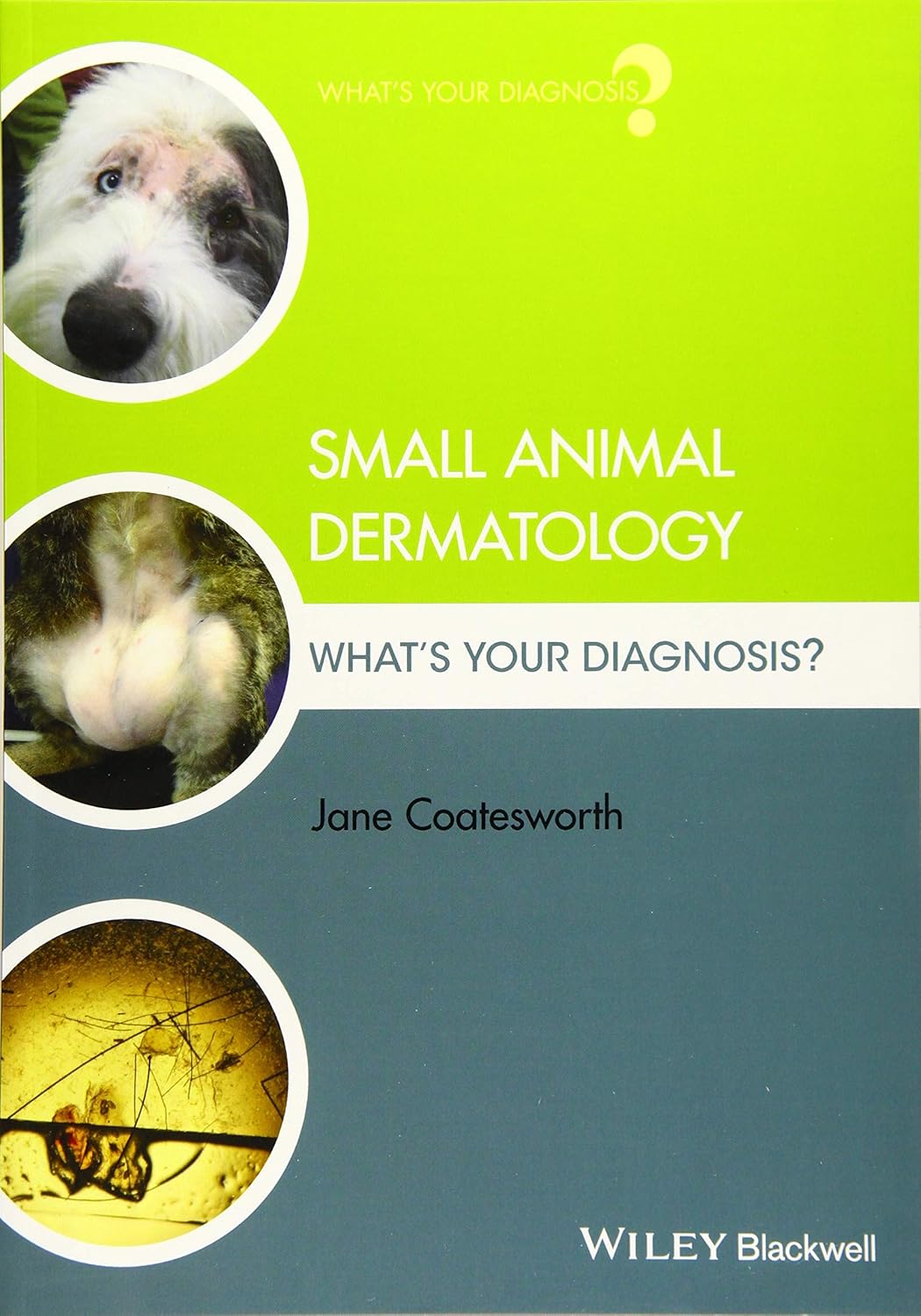 Small Animal Dermatology: What's Your Diagnosis? 1st Edition
