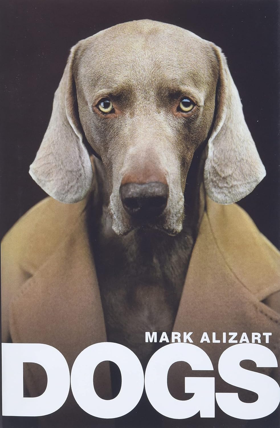 Dogs: A Philosophical Guide to Our Best Friends