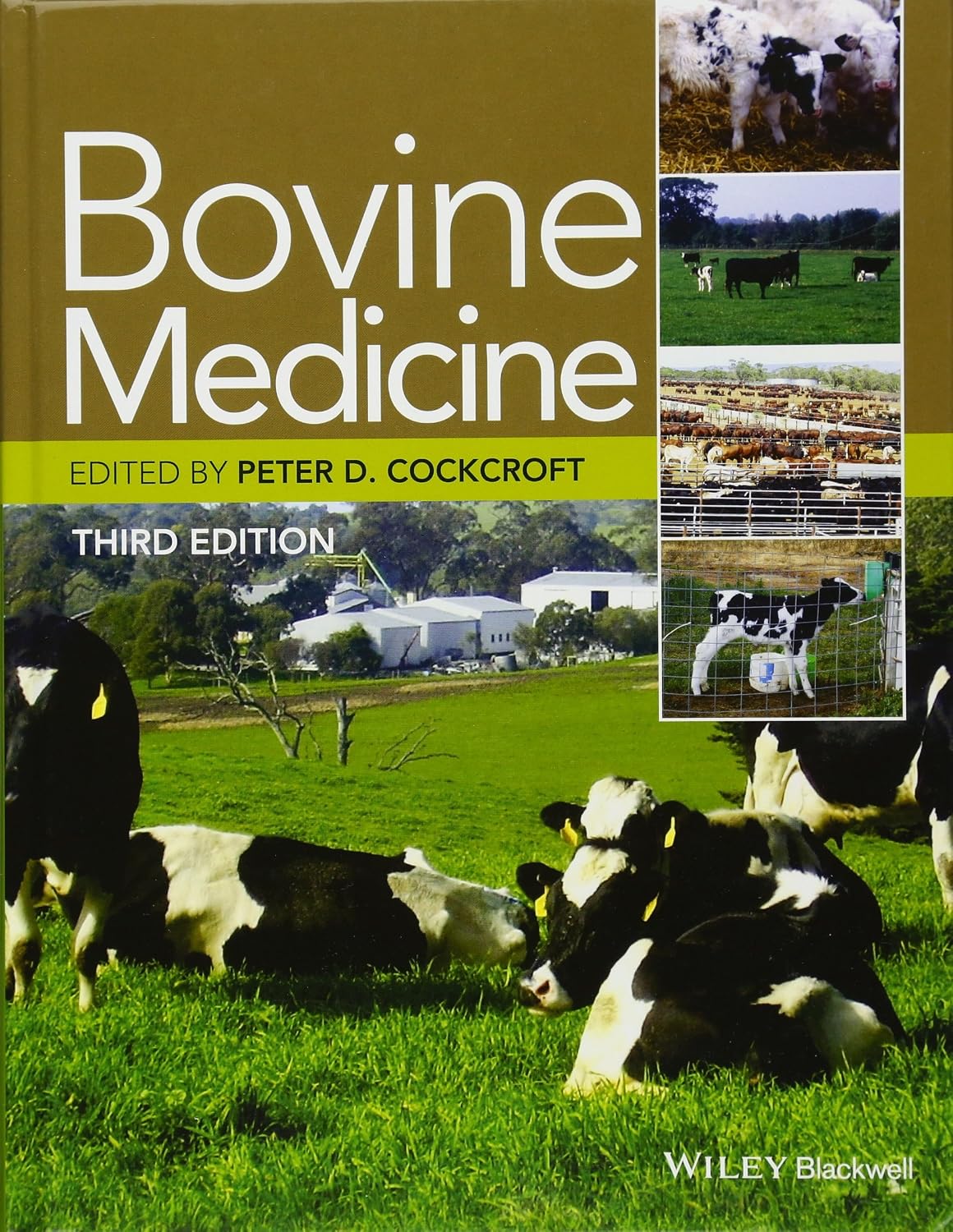 Bovine Medicine 3rd Edition
