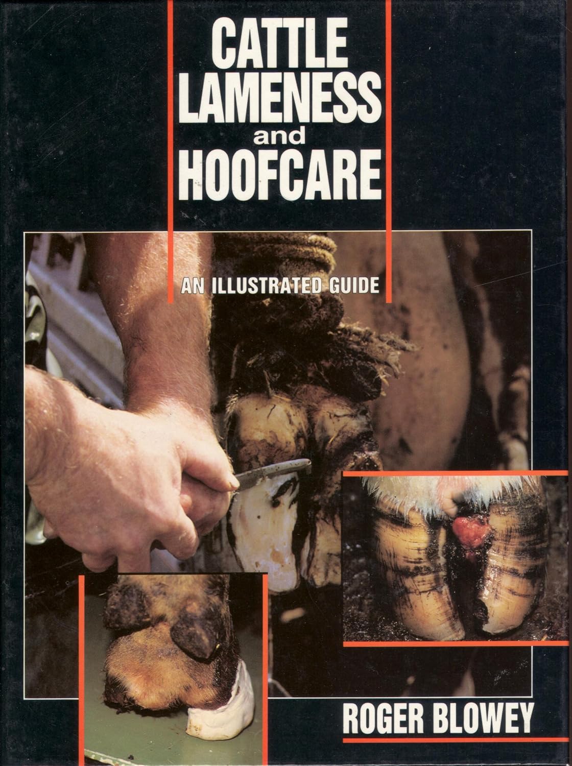 Cattle Lameness and Hoofcare: An Illustrated Guide