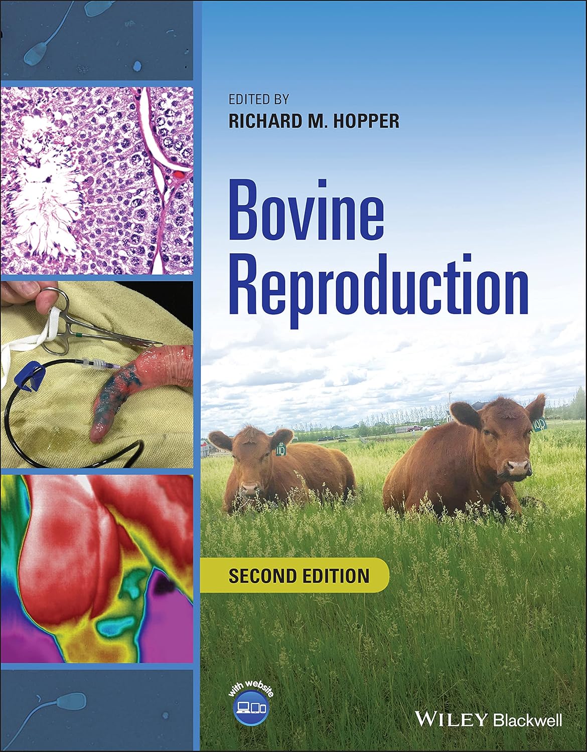 Bovine Reproduction 2nd Edition