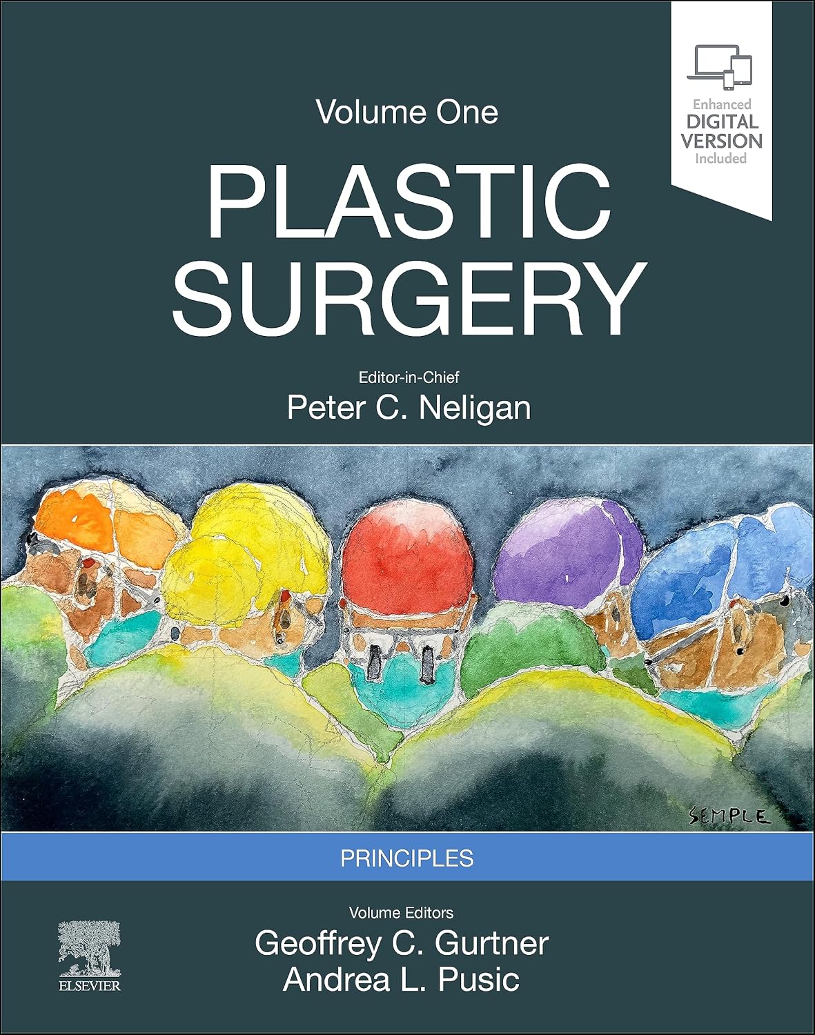 Plastic Surgery: Volume 1: Principles (Plastic Surgery, 1) 5th Edition