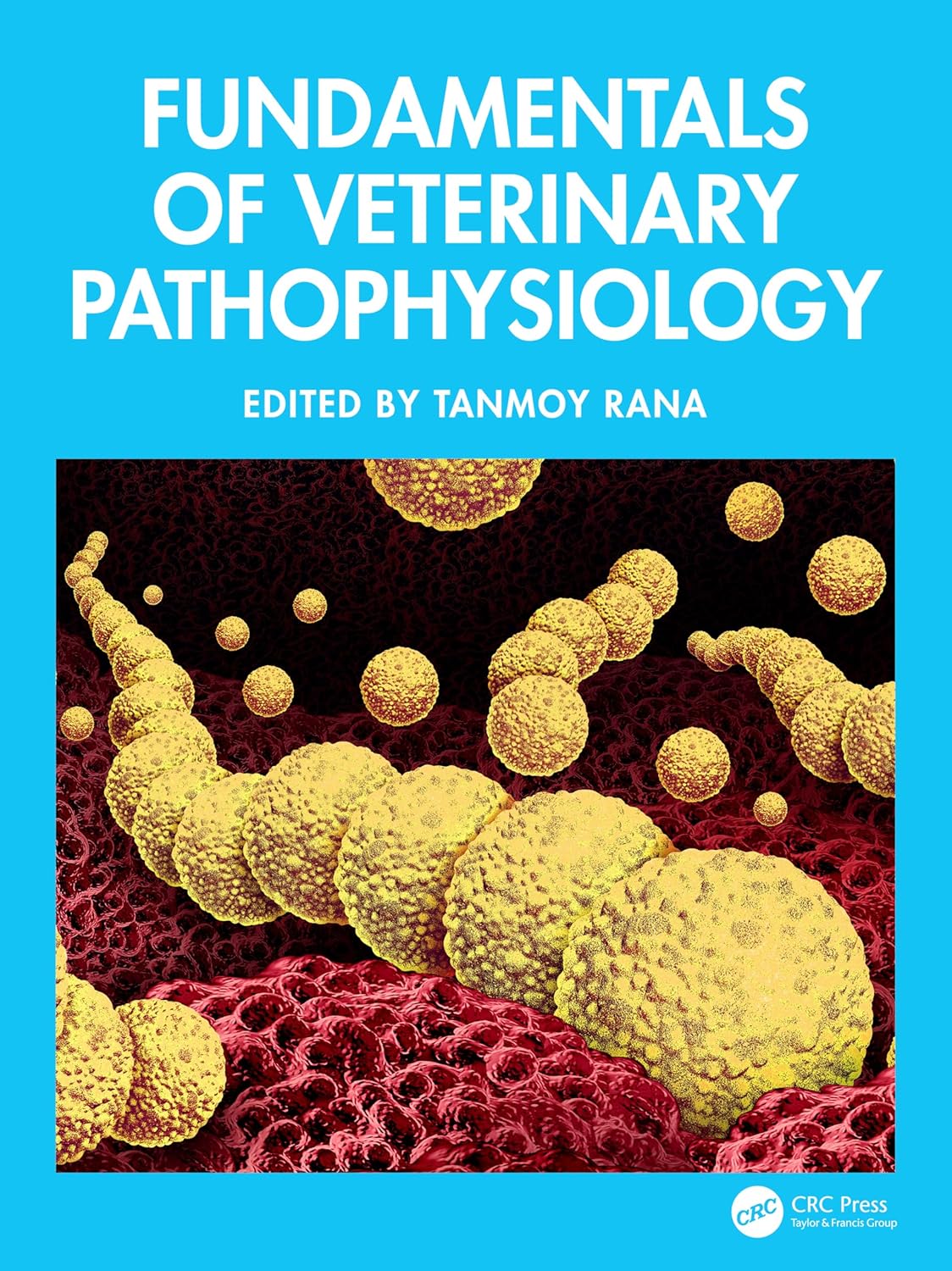 Fundamentals of Veterinary Pathophysiology 1st Edition - June 12, 2025