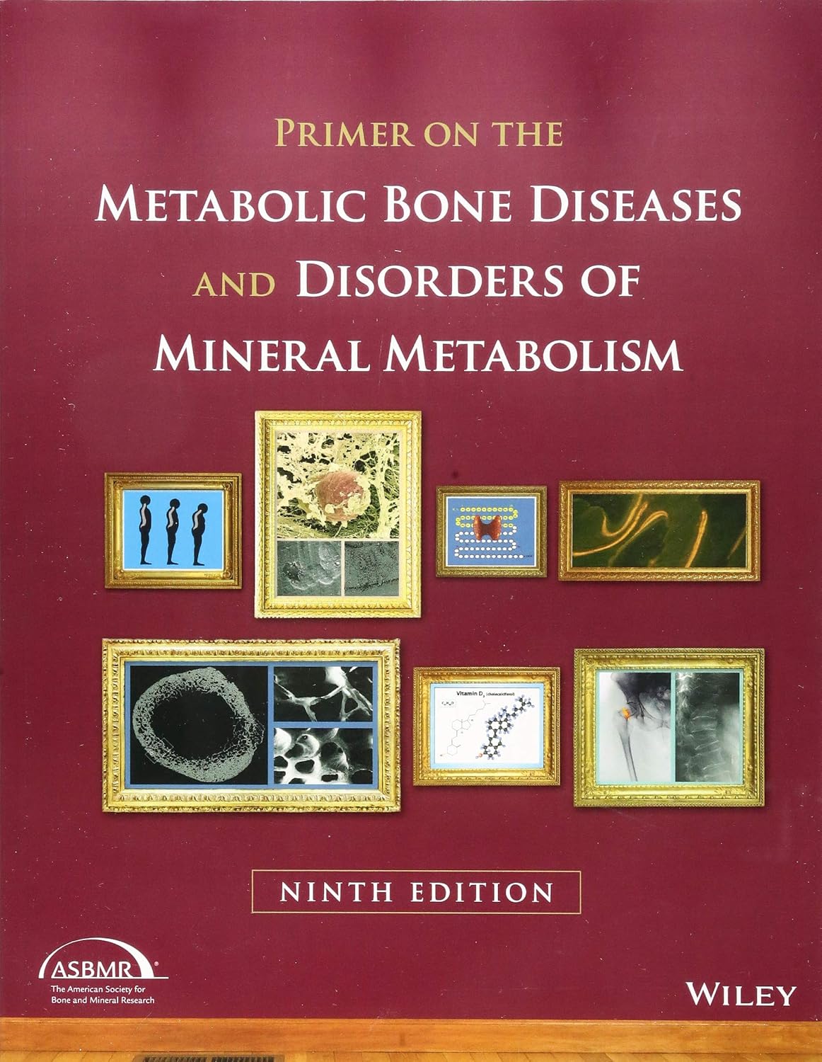 Primer on the Metabolic Bone Diseases and Disorders of Mineral Metabolism 9th Edition