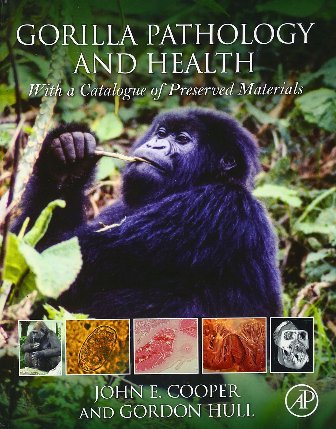 Gorilla Pathology and Health: With a Catalogue of Preserved Materials