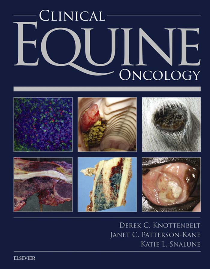 Clinical Equine Oncology 1st Edition
