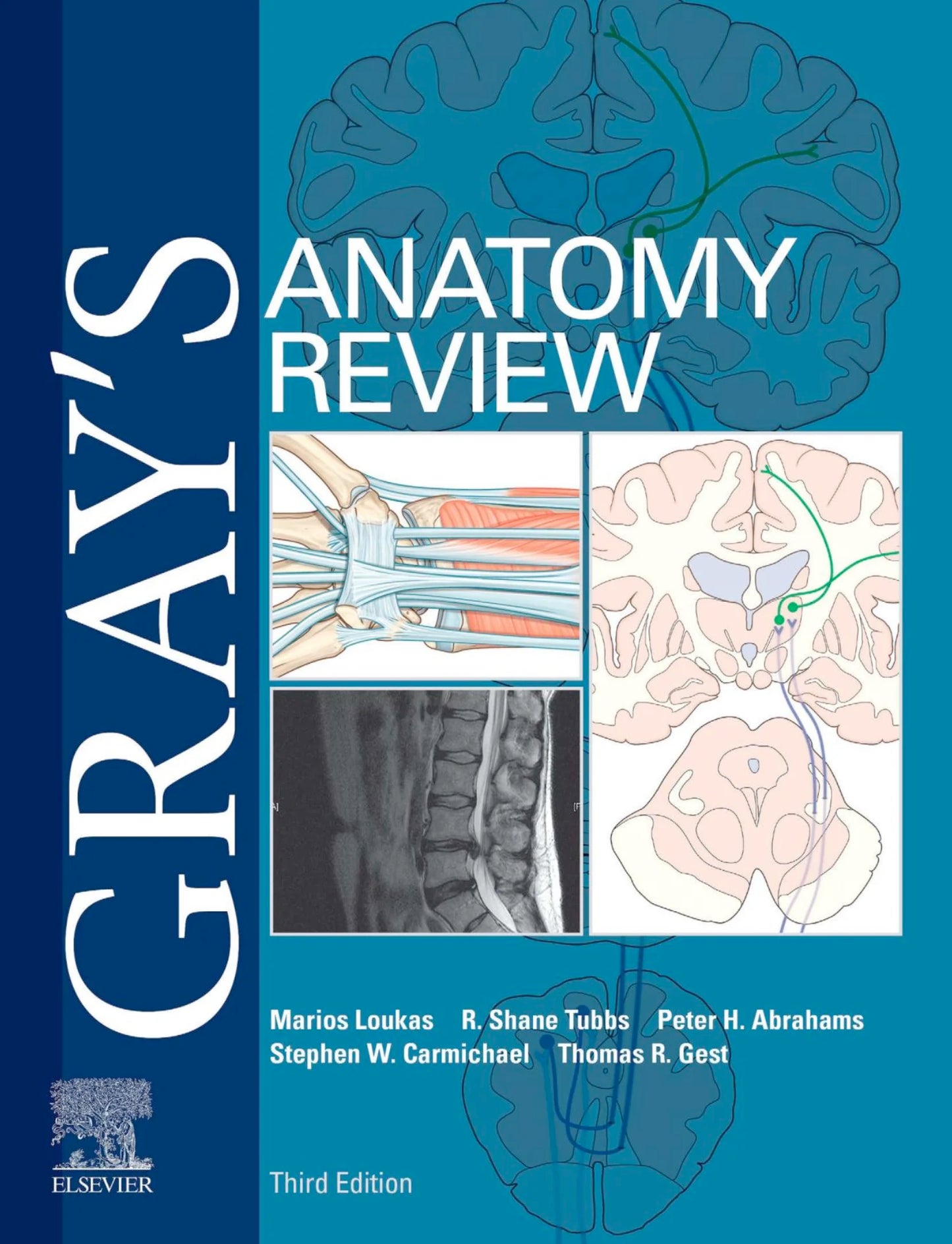 Gray’s Anatomy Review, 3rd Edition