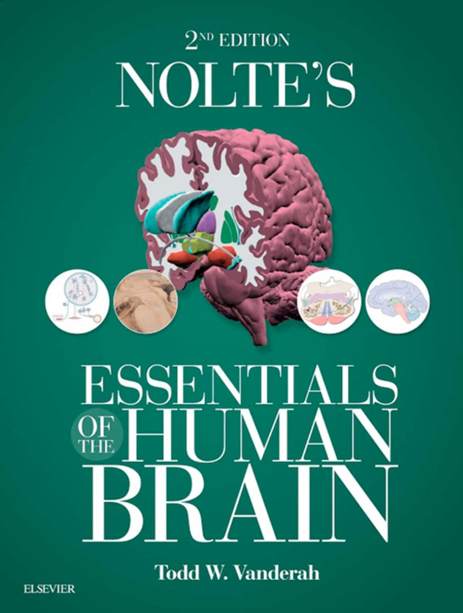 Nolte's Essentials of the Human Brain, 2nd Edition