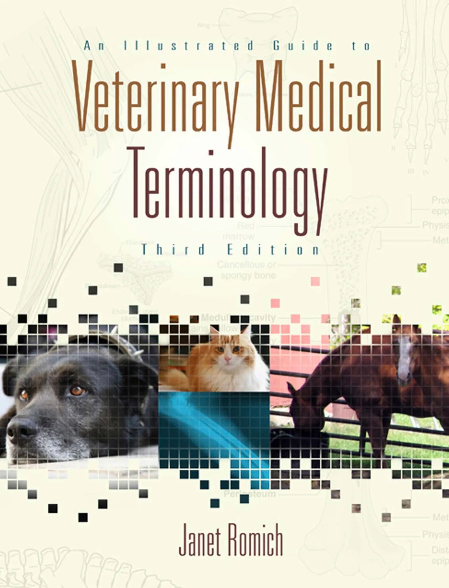 An Illustrated Guide to Veterinary Medical Terminology 3th edition