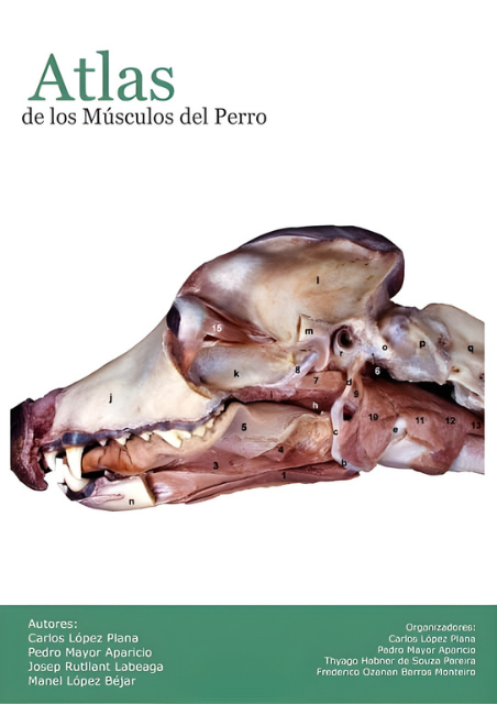 Atlas de los Músculos del Perro