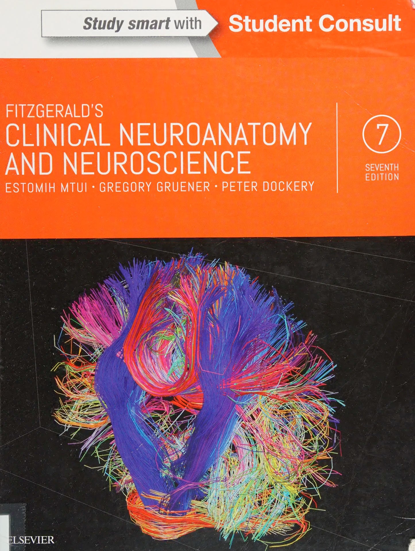 Fitzgerald's Clinical Neuroanatomy and Neuroscience 7th Edition
