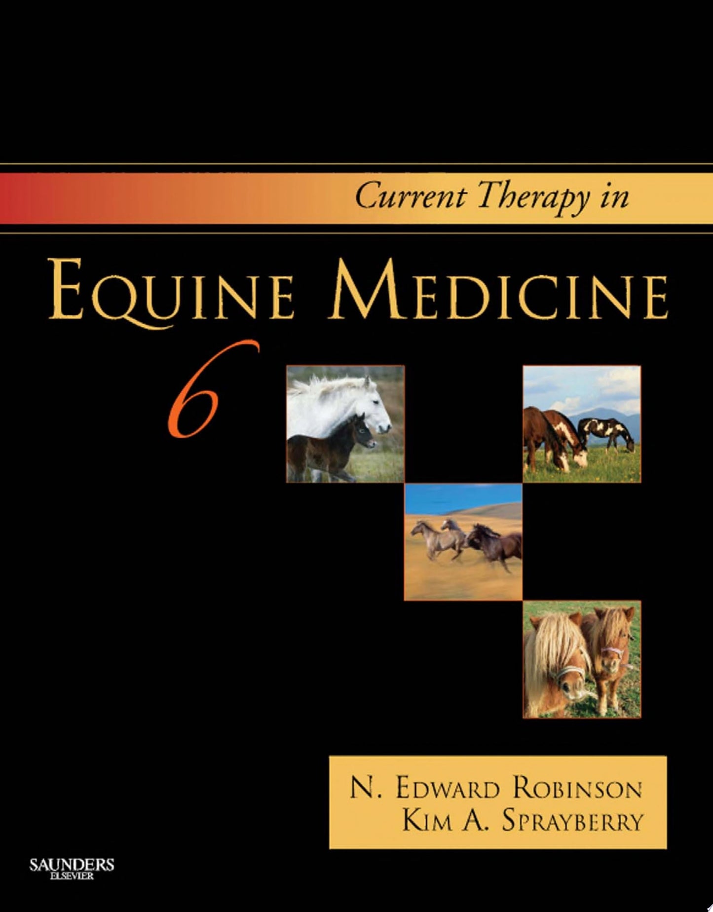Current Therapy in Equine Medicine, 6th edition