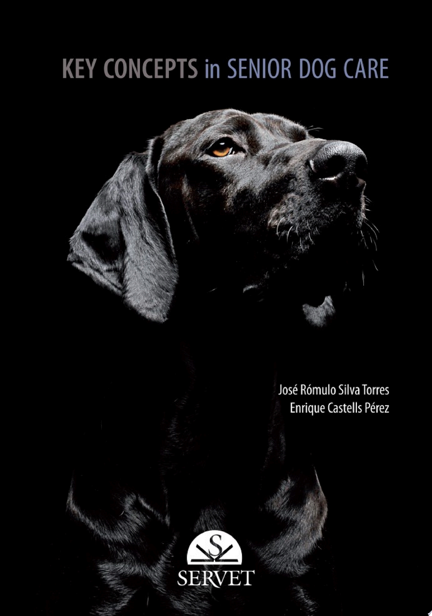 Key Concepts in Senior Dog Care