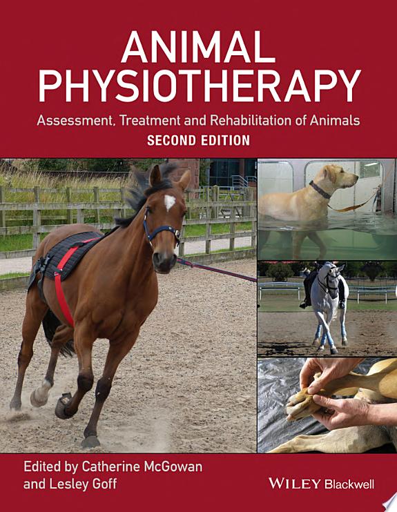 Introduction to animal physiotherapy