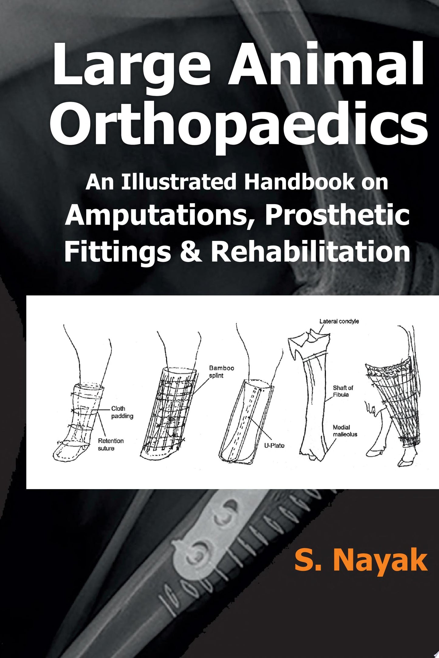 Large Animal Orthopaedics Fittings And Rehabilitations
