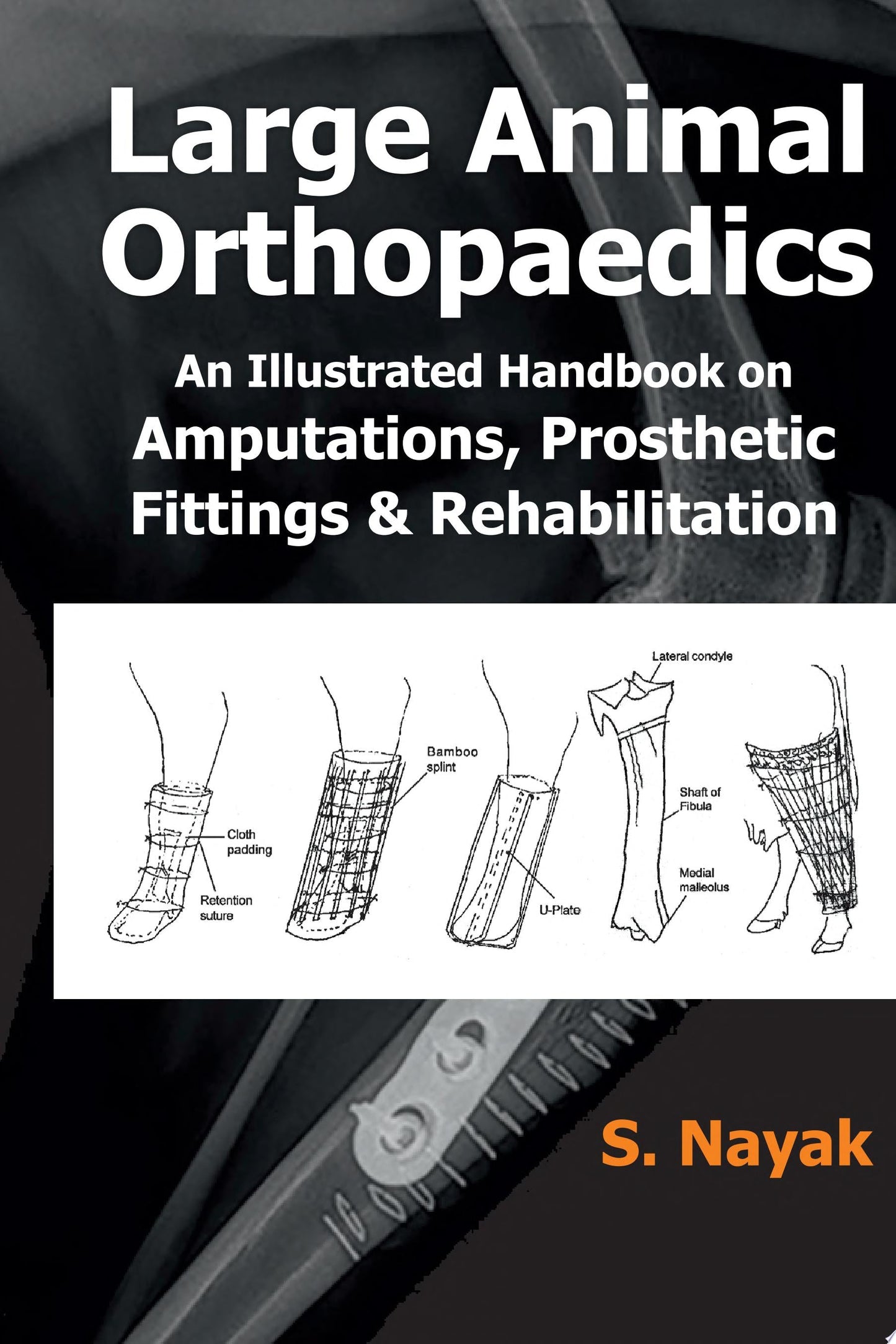 Large Animal Orthopaedics Fittings And Rehabilitations