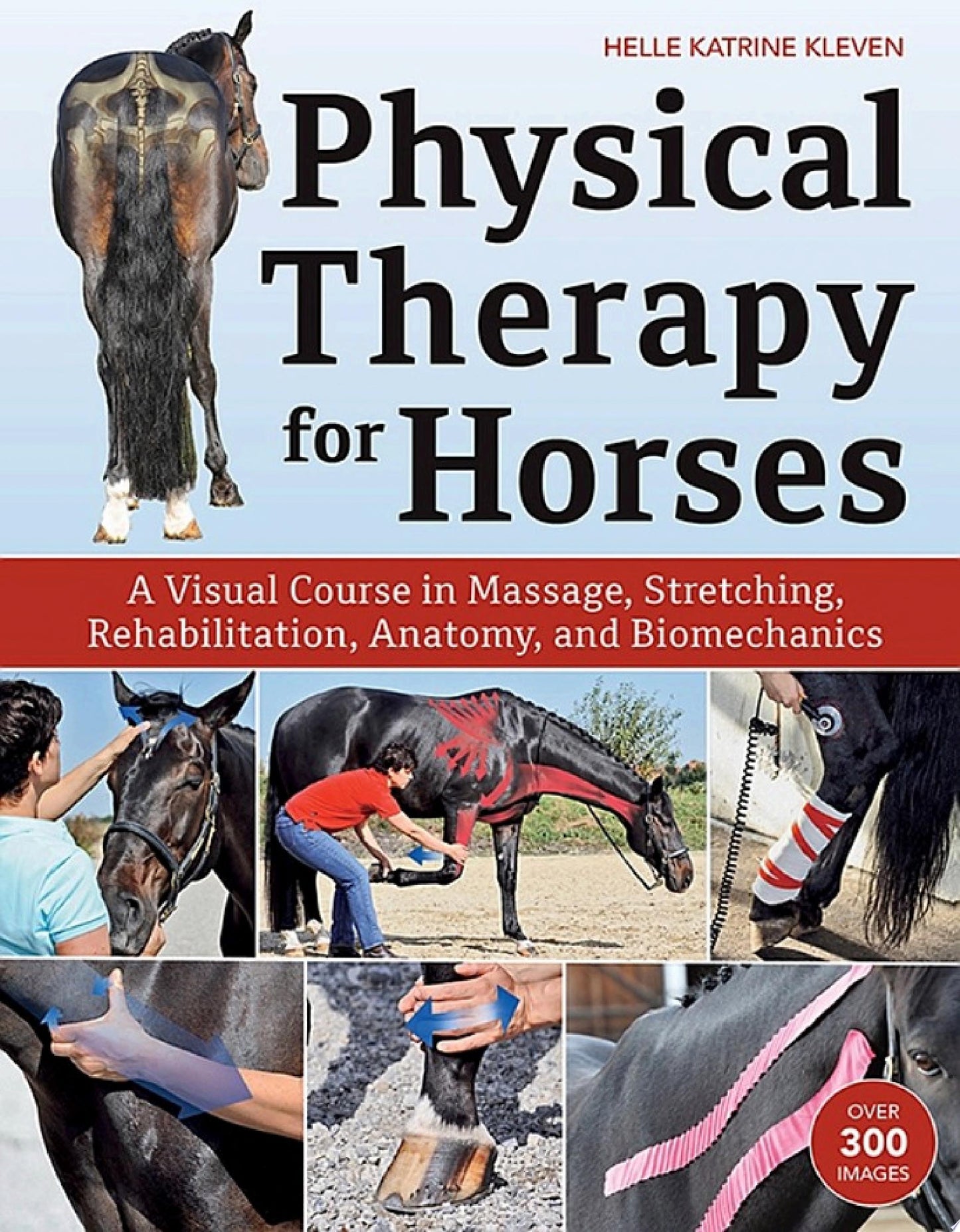 Physical Therapy for Horses: A Visual Course in Massage, Stretching, Rehabilitation, Anatomy, and Biomechanics