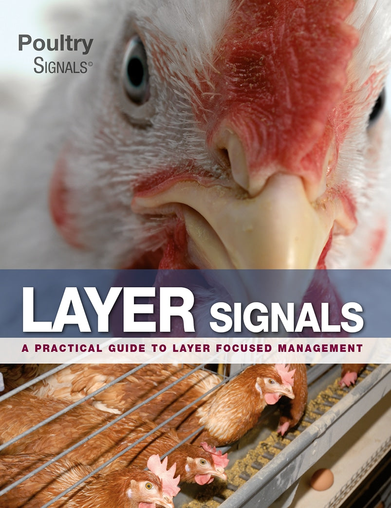 Layer Signals: A Practical Guide for Layer Focused Management