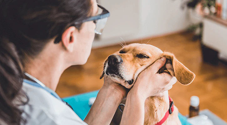 Physical Examinations, Procedures and Techniques