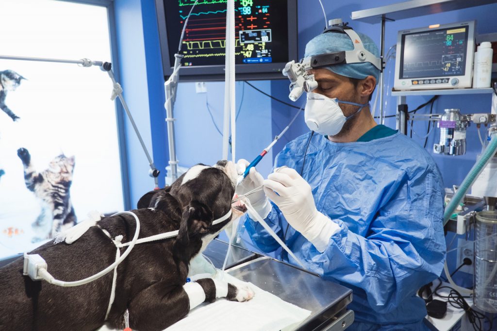 Cirugía y anestesia