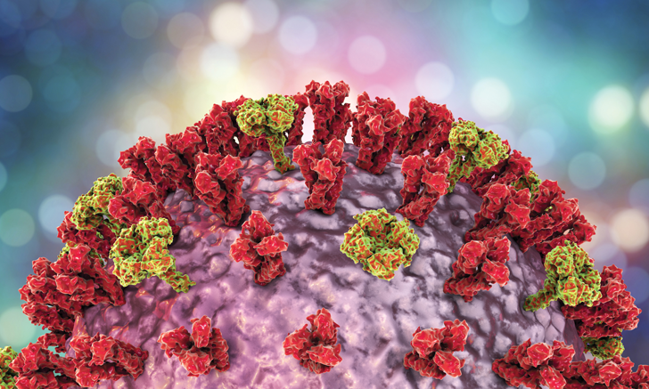 Infectious Diseases