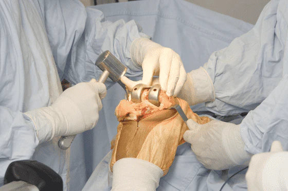 Orthopaedics & Orthopaedic Surgery